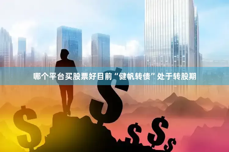 哪个平台买股票好目前“健帆转债”处于转股期