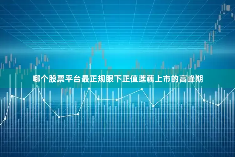 哪个股票平台最正规眼下正值莲藕上市的高峰期